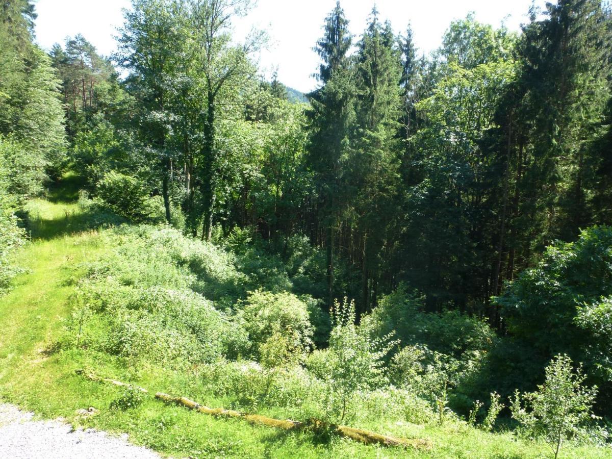 Holiday Home Leubach By Interhome Schiltach Zewnętrze zdjęcie